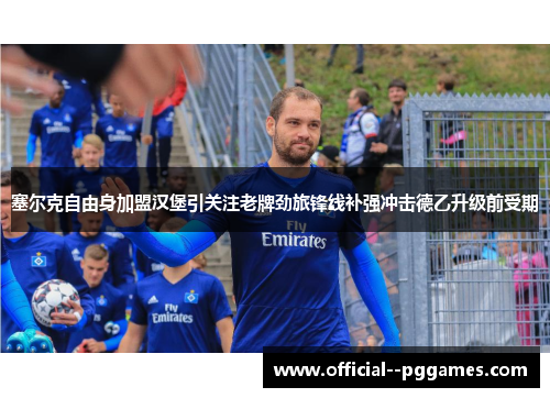 塞尔克自由身加盟汉堡引关注老牌劲旅锋线补强冲击德乙升级前受期 塞尔克自由身加盟汉堡引关注老牌劲旅锋线补强冲击德乙升级前受期